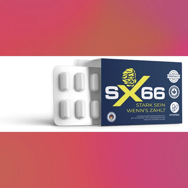 SX 66